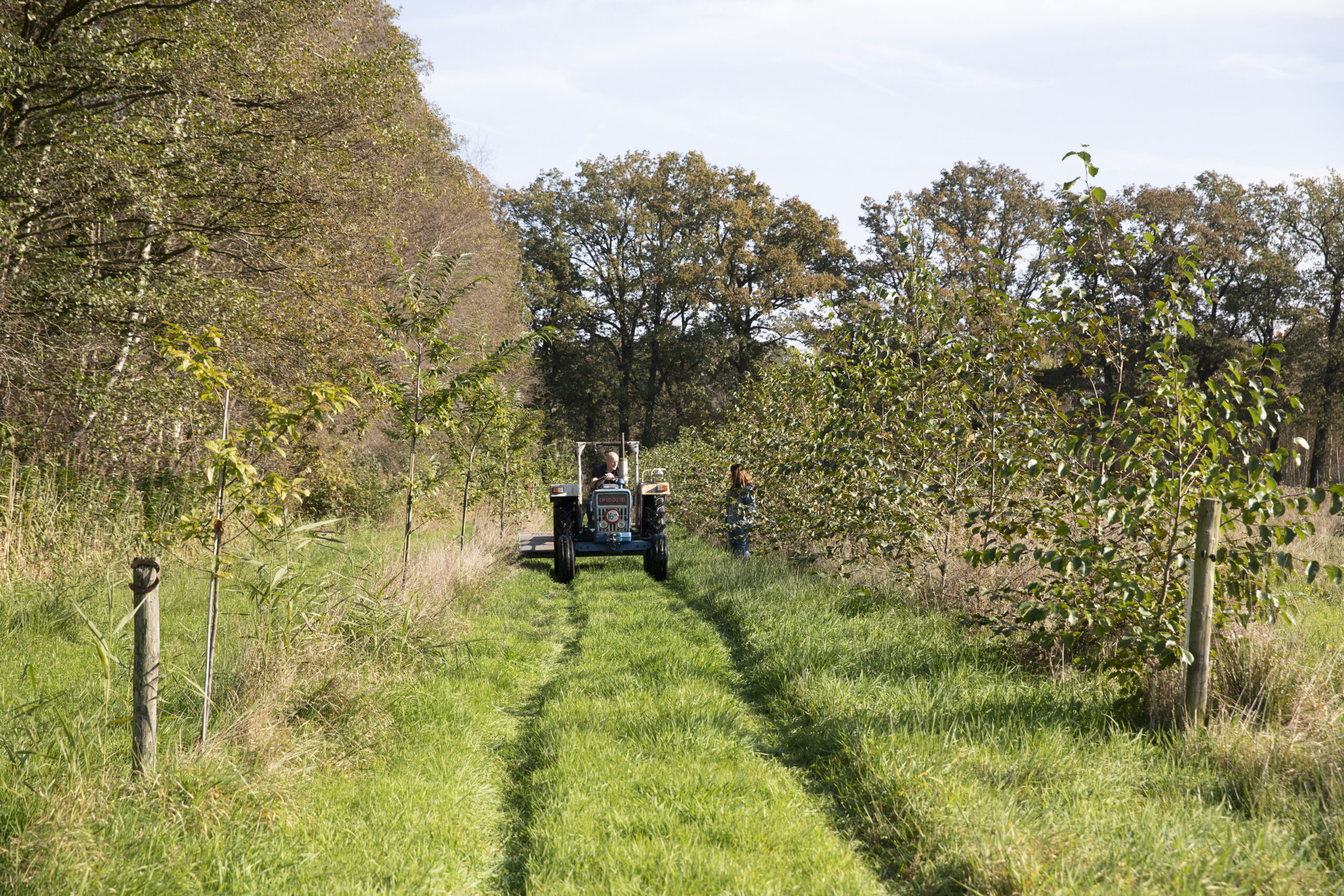 Volop winter, volop plantseizoen