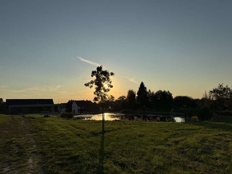 Voedselbosbouw in je testament